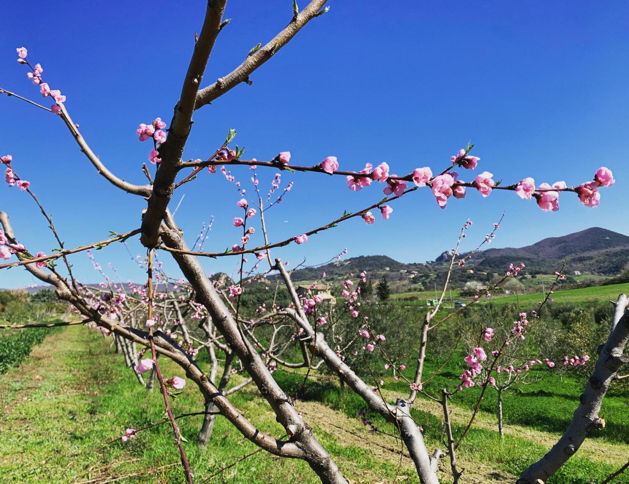 Agriturismo Casale Sasso Черветере Экстерьер фото